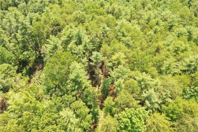 Discover 5 Acres of Possibility at The Cliffs at Keowee on The Cliffs At Keowee Vineyards Golf Club in South Carolina - for sale on GolfHomes.com, golf home, golf lot