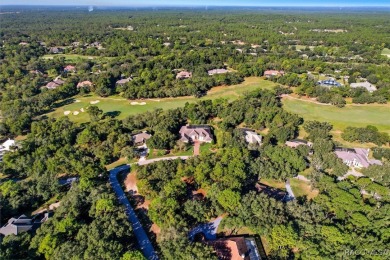 Turn-Key and a Golfer's Dream! Experience luxury living at its on Black Diamond Ranch Golf Course in Florida - for sale on GolfHomes.com, golf home, golf lot