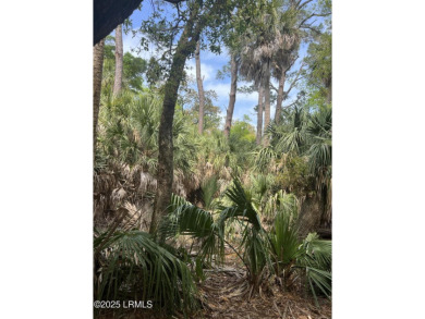 This is your opportunity to own one of Fripp's larger on Ocean Point Golf Links in South Carolina - for sale on GolfHomes.com, golf home, golf lot