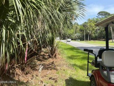 This is your opportunity to own one of Fripp's larger on Ocean Point Golf Links in South Carolina - for sale on GolfHomes.com, golf home, golf lot