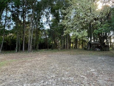 Looking for a great location with infinite possibilities, or on Mount Pleasant Country Club in Texas - for sale on GolfHomes.com, golf home, golf lot