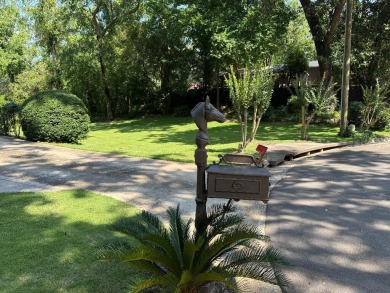 Discover this beautifully updated 5-bedroom, 3-bath home tucked on Palmetto Golf Club, Inc. in South Carolina - for sale on GolfHomes.com, golf home, golf lot