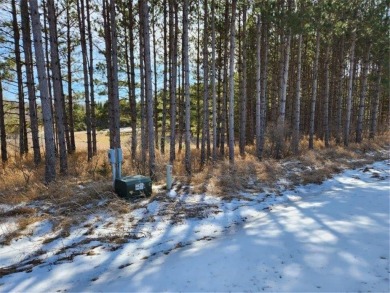 Bring your building plans - ideal for a walkout! Fantastic on Lake Miltona Golf Club in Minnesota - for sale on GolfHomes.com, golf home, golf lot