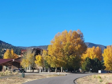 Connie Goodnight, Land Properties, LLC, C: , connie,  : This on Rio Grande Golf Club in Colorado - for sale on GolfHomes.com, golf home, golf lot