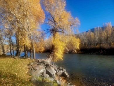 Connie Goodnight, Land Properties, LLC, C: , connie,  : This on Rio Grande Golf Club in Colorado - for sale on GolfHomes.com, golf home, golf lot