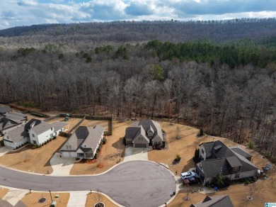Welcome to 229 Ambergate Circle, a stunning home nestled in a on Ballantrae Golf Club in Alabama - for sale on GolfHomes.com, golf home, golf lot
