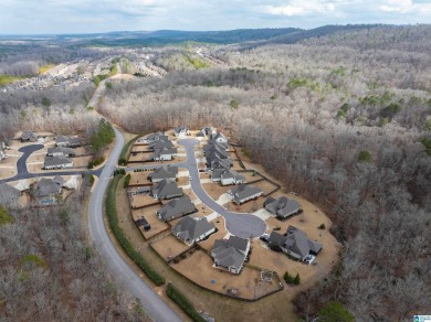 Welcome to 229 Ambergate Circle, a stunning home nestled in a on Ballantrae Golf Club in Alabama - for sale on GolfHomes.com, golf home, golf lot