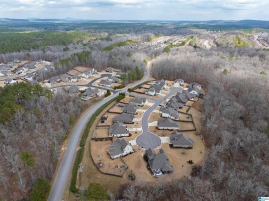 Welcome to 229 Ambergate Circle, a stunning home nestled in a on Ballantrae Golf Club in Alabama - for sale on GolfHomes.com, golf home, golf lot