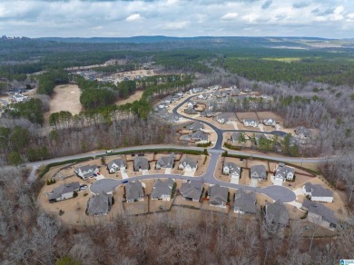 Welcome to 229 Ambergate Circle, a stunning home nestled in a on Ballantrae Golf Club in Alabama - for sale on GolfHomes.com, golf home, golf lot