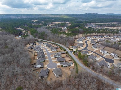 Welcome to 229 Ambergate Circle, a stunning home nestled in a on Ballantrae Golf Club in Alabama - for sale on GolfHomes.com, golf home, golf lot
