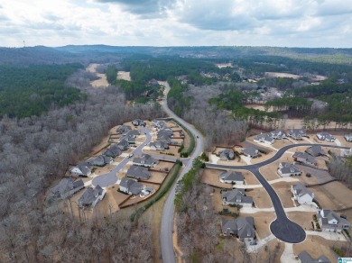 Welcome to 229 Ambergate Circle, a stunning home nestled in a on Ballantrae Golf Club in Alabama - for sale on GolfHomes.com, golf home, golf lot