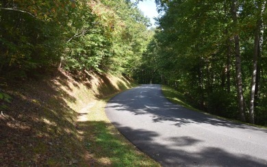 Gentle lying .77 acre building lot with good mountain views with on Mountain Harbour Golf Club in North Carolina - for sale on GolfHomes.com, golf home, golf lot