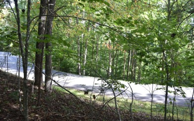 Gentle lying .77 acre building lot with good mountain views with on Mountain Harbour Golf Club in North Carolina - for sale on GolfHomes.com, golf home, golf lot