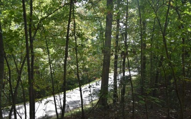 Gentle lying .77 acre building lot with good mountain views with on Mountain Harbour Golf Club in North Carolina - for sale on GolfHomes.com, golf home, golf lot