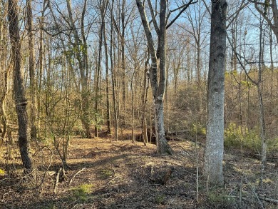 This is a developers dream! Large land tract of approximately 73 on Milledgeville Country Club in Georgia - for sale on GolfHomes.com, golf home, golf lot