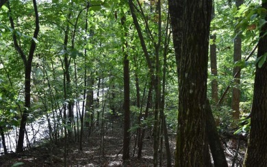 Gentle lying .77 acre building lot with good mountain views with on Mountain Harbour Golf Club in North Carolina - for sale on GolfHomes.com, golf home, golf lot