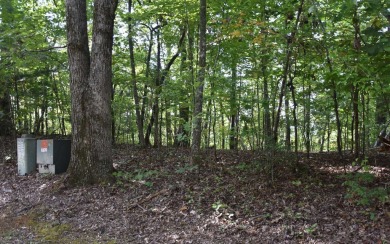 Gentle lying .77 acre building lot with good mountain views with on Mountain Harbour Golf Club in North Carolina - for sale on GolfHomes.com, golf home, golf lot