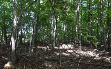 Gentle lying .77 acre building lot with good mountain views with on Mountain Harbour Golf Club in North Carolina - for sale on GolfHomes.com, golf home, golf lot