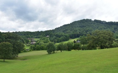 Gentle lying .77 acre building lot with good mountain views with on Mountain Harbour Golf Club in North Carolina - for sale on GolfHomes.com, golf home, golf lot