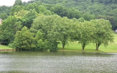 Gentle lying .77 acre building lot with good mountain views with on Mountain Harbour Golf Club in North Carolina - for sale on GolfHomes.com, golf home, golf lot