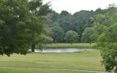 Gentle lying .77 acre building lot with good mountain views with on Mountain Harbour Golf Club in North Carolina - for sale on GolfHomes.com, golf home, golf lot