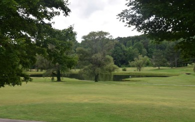 Gentle lying .77 acre building lot with good mountain views with on Mountain Harbour Golf Club in North Carolina - for sale on GolfHomes.com, golf home, golf lot