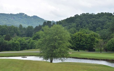 Gentle lying .77 acre building lot with good mountain views with on Mountain Harbour Golf Club in North Carolina - for sale on GolfHomes.com, golf home, golf lot