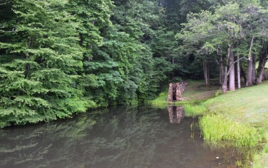 Gentle lying .77 acre building lot with good mountain views with on Mountain Harbour Golf Club in North Carolina - for sale on GolfHomes.com, golf home, golf lot