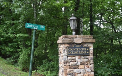 Gentle lying .77 acre building lot with good mountain views with on Mountain Harbour Golf Club in North Carolina - for sale on GolfHomes.com, golf home, golf lot