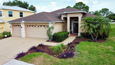 Situated outside the flood zone with no CDD fees, this on Summerfield Crossing Golf Club in Florida - for sale on GolfHomes.com, golf home, golf lot