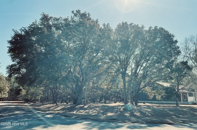 Beautiful Live Oak trees adorn this large corner lot in on Harbour Point Golf Club in North Carolina - for sale on GolfHomes.com, golf home, golf lot