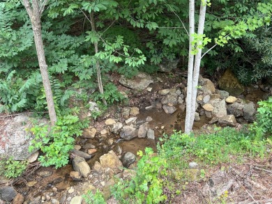 Private .97 acre lot with a stream in the highly desirable gated on Brights Creek Golf Course in North Carolina - for sale on GolfHomes.com, golf home, golf lot
