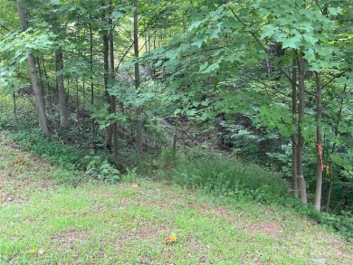 Private .97 acre lot with a stream in the highly desirable gated on Brights Creek Golf Course in North Carolina - for sale on GolfHomes.com, golf home, golf lot