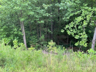Private .97 acre lot with a stream in the highly desirable gated on Brights Creek Golf Course in North Carolina - for sale on GolfHomes.com, golf home, golf lot