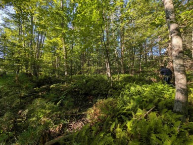 Beautiful 16.527 acre lot that overlooks the 1st and 2nd on Crotched Mountain Golf Club in New Hampshire - for sale on GolfHomes.com, golf home, golf lot
