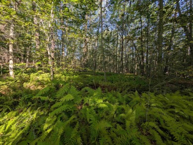 Beautiful 16.527 acre lot that overlooks the 1st and 2nd on Crotched Mountain Golf Club in New Hampshire - for sale on GolfHomes.com, golf home, golf lot