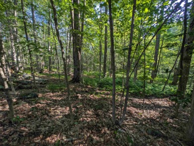 Beautiful 16.527 acre lot that overlooks the 1st and 2nd on Crotched Mountain Golf Club in New Hampshire - for sale on GolfHomes.com, golf home, golf lot
