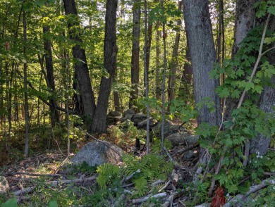 Beautiful 16.527 acre lot that overlooks the 1st and 2nd on Crotched Mountain Golf Club in New Hampshire - for sale on GolfHomes.com, golf home, golf lot