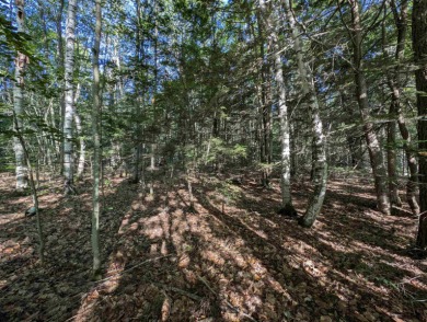 Beautiful 11.933 acre lot that looks out on the 1st fairway of on Crotched Mountain Golf Club in New Hampshire - for sale on GolfHomes.com, golf home, golf lot