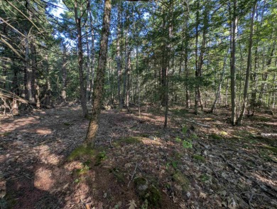 Beautiful 11.933 acre lot that looks out on the 1st fairway of on Crotched Mountain Golf Club in New Hampshire - for sale on GolfHomes.com, golf home, golf lot