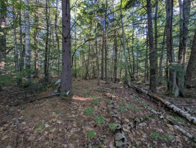 Beautiful 11.933 acre lot that looks out on the 1st fairway of on Crotched Mountain Golf Club in New Hampshire - for sale on GolfHomes.com, golf home, golf lot