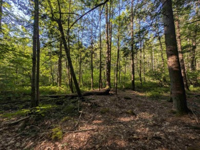 Beautiful 11.933 acre lot that looks out on the 1st fairway of on Crotched Mountain Golf Club in New Hampshire - for sale on GolfHomes.com, golf home, golf lot