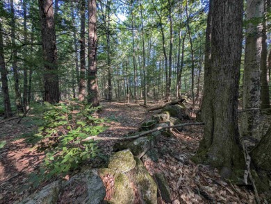 Beautiful 11.933 acre lot that looks out on the 1st fairway of on Crotched Mountain Golf Club in New Hampshire - for sale on GolfHomes.com, golf home, golf lot