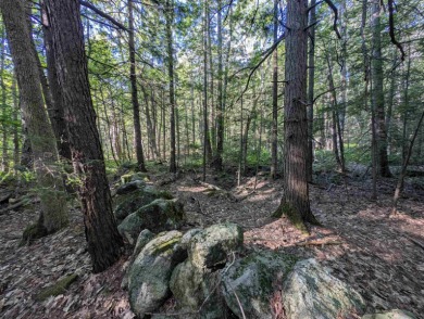 Beautiful 11.933 acre lot that looks out on the 1st fairway of on Crotched Mountain Golf Club in New Hampshire - for sale on GolfHomes.com, golf home, golf lot