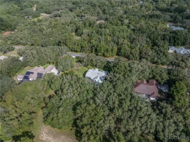 Welcome to your retreat in the heart of Citrus County! This on Twisted Oaks Golf Club in Florida - for sale on GolfHomes.com, golf home, golf lot