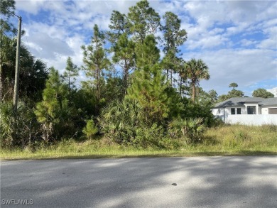 Ideal residential lot just minutes from Valencia Golf  Country on The Club At Twin Eagles in Florida - for sale on GolfHomes.com, golf home, golf lot