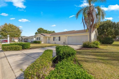 NEW ROOF COMING SOON! Golf course and water views await it's new on The Links of Spruce Creek in Florida - for sale on GolfHomes.com, golf home, golf lot