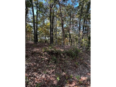 Build your dream home on this beautiful secluded lot just on Branchwood Golf Course in Arkansas - for sale on GolfHomes.com, golf home, golf lot