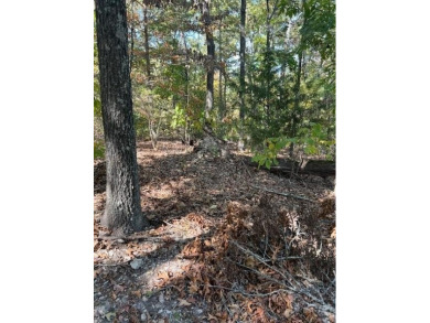 Build your dream home on this beautiful secluded lot just on Branchwood Golf Course in Arkansas - for sale on GolfHomes.com, golf home, golf lot