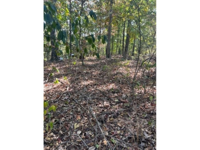 Build your dream home on this beautiful secluded lot just on Branchwood Golf Course in Arkansas - for sale on GolfHomes.com, golf home, golf lot